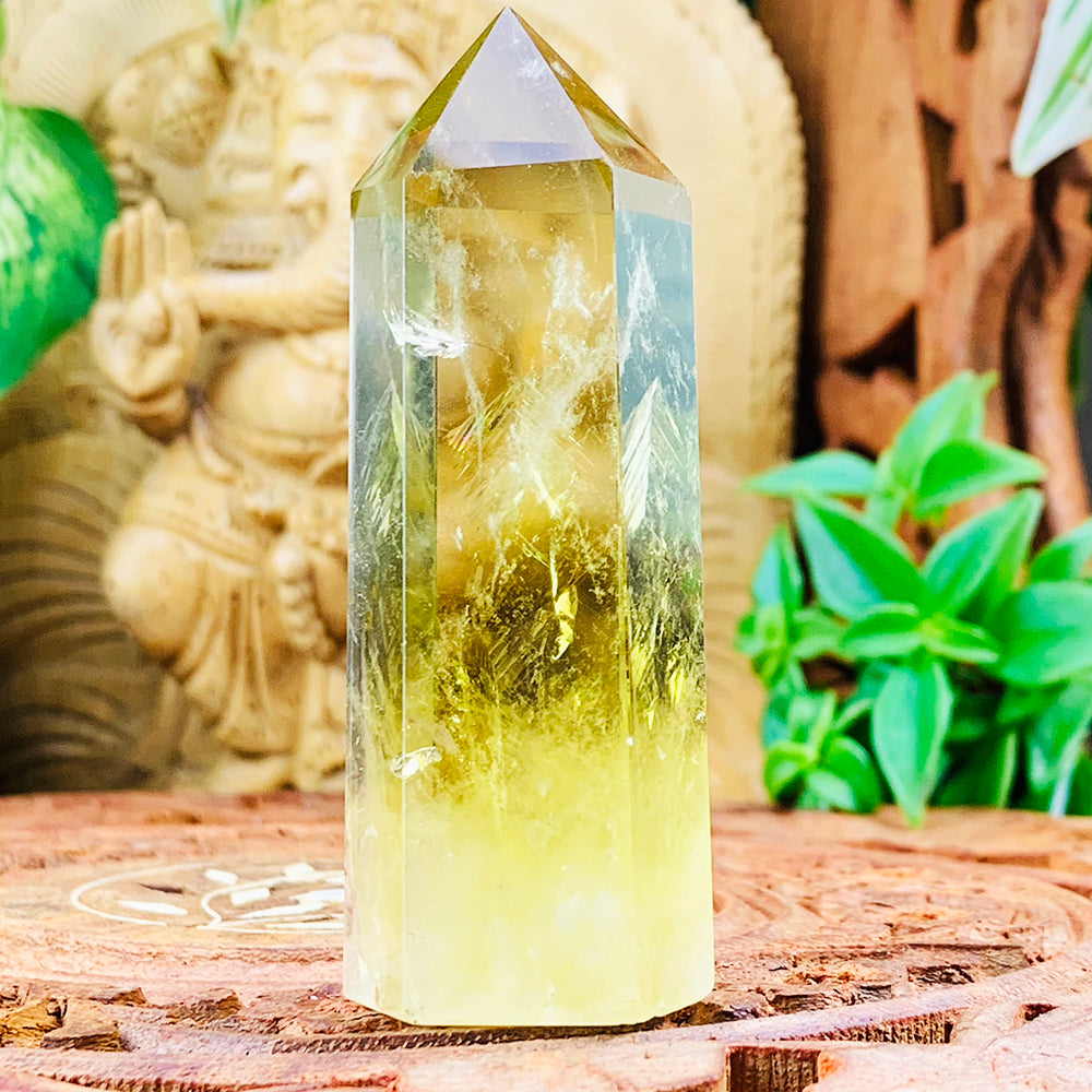 Citrine Wealth & Abundance 9-Crystal Set