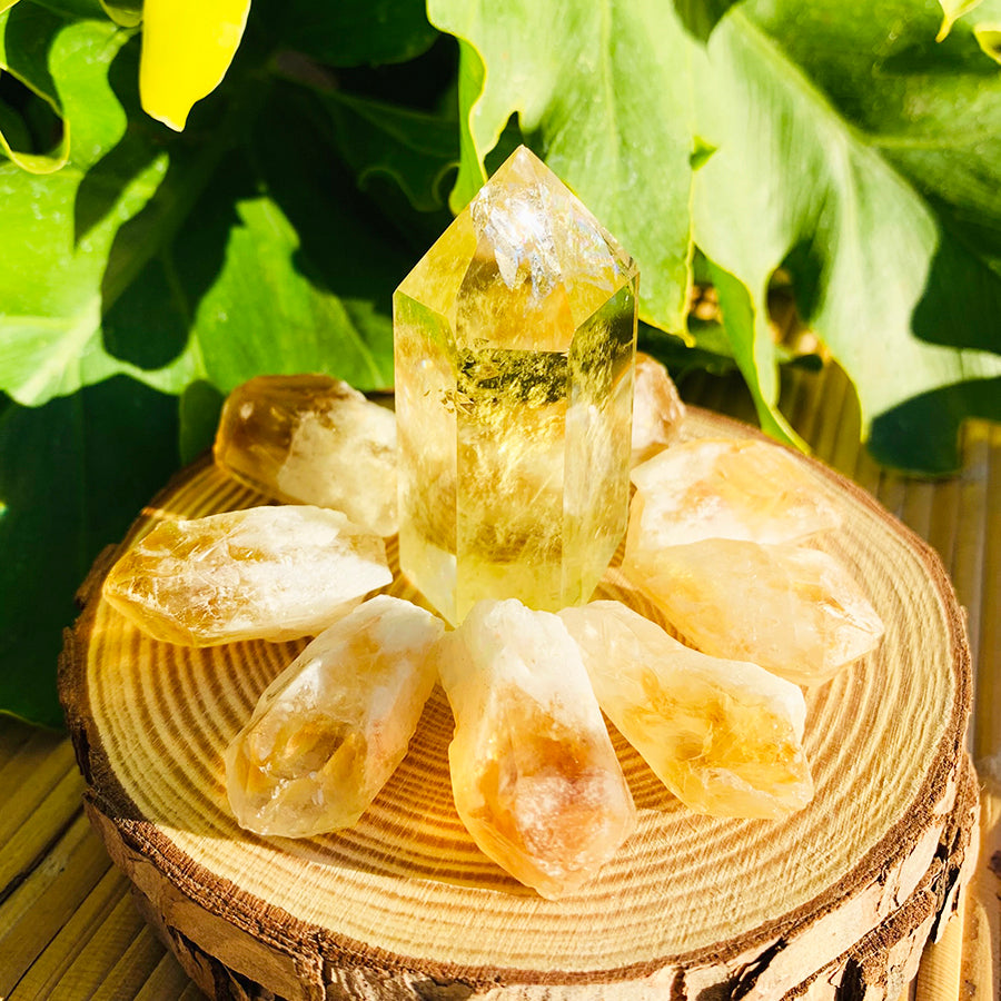 Citrine Wealth & Abundance 9-Crystal Set