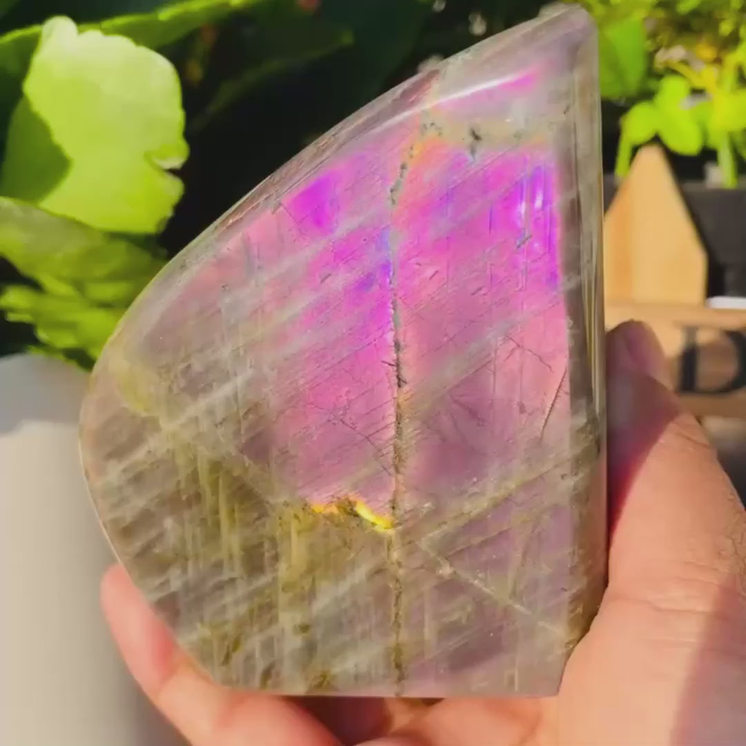 Large (1.19 lbs.) Purple Flash Labradorite Freeform (Item #0077)