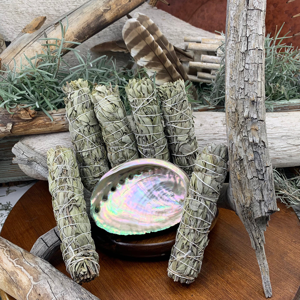 6" White Sage Bundle(s) + Abalone Shell Smudge Kit