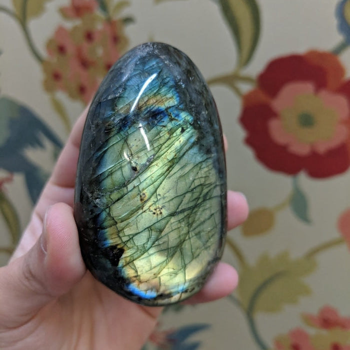 FREE GIVEAWAY! Labradorite Palmstone - (Just Pay Cost of Shipping)