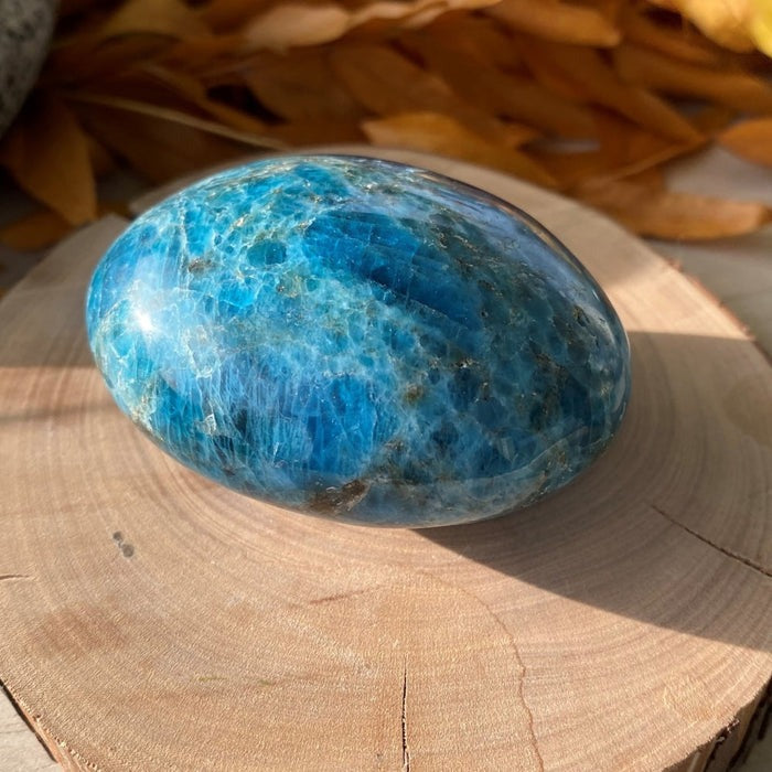 FREE GIVEAWAY! Apatite Palmstone - (Just Pay Cost of Shipping)