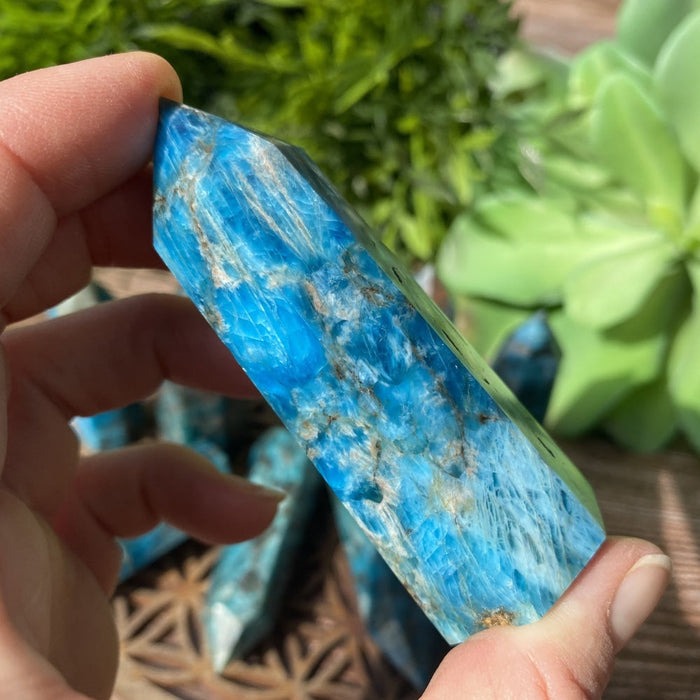 $5 Apatite Crystal Point - One Day-Only Promo