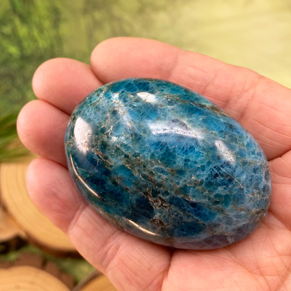 FREE GIVEAWAY! Apatite Palmstone - (Just Pay Cost of Shipping)