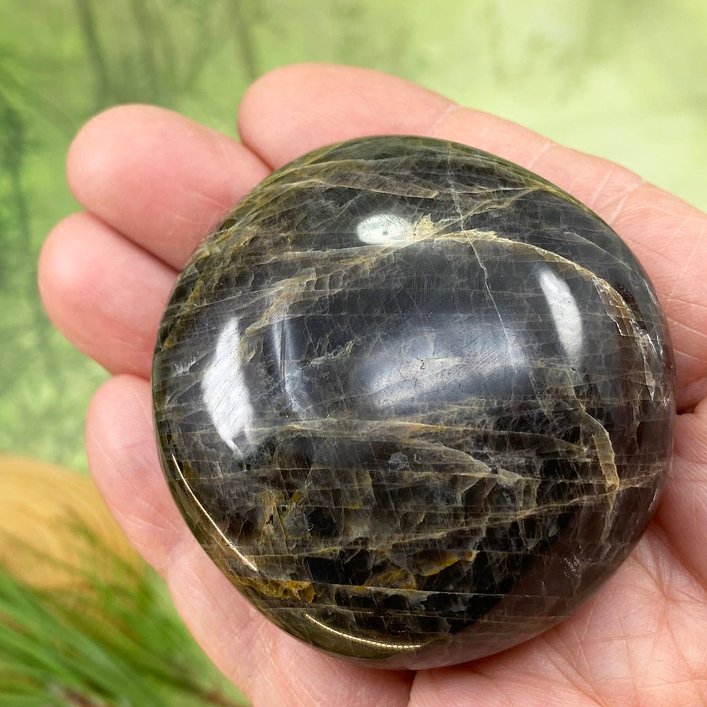 Black Moonstone Palmstone WINNER! - (Just Pay Cost of Shipping)