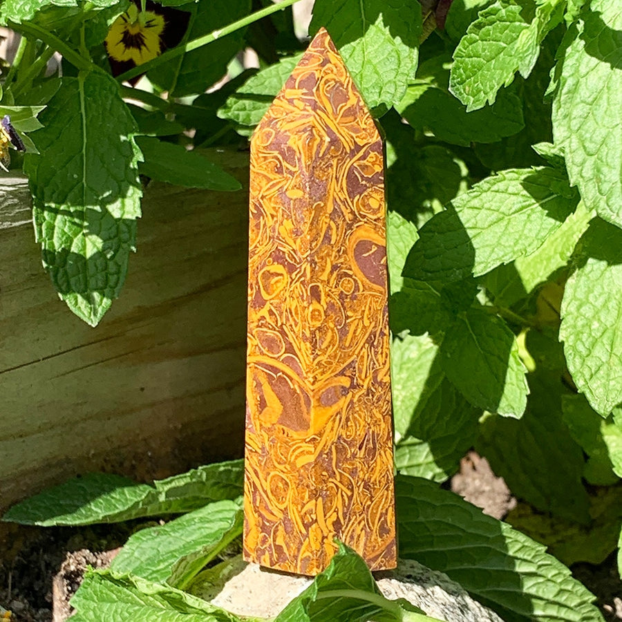 Golden Coquina Jasper Wand - wand