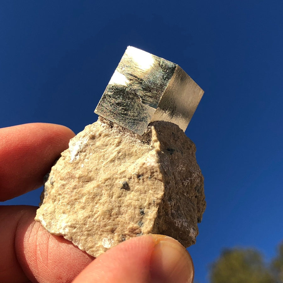 Iron Pyrite Cubes In Matrix