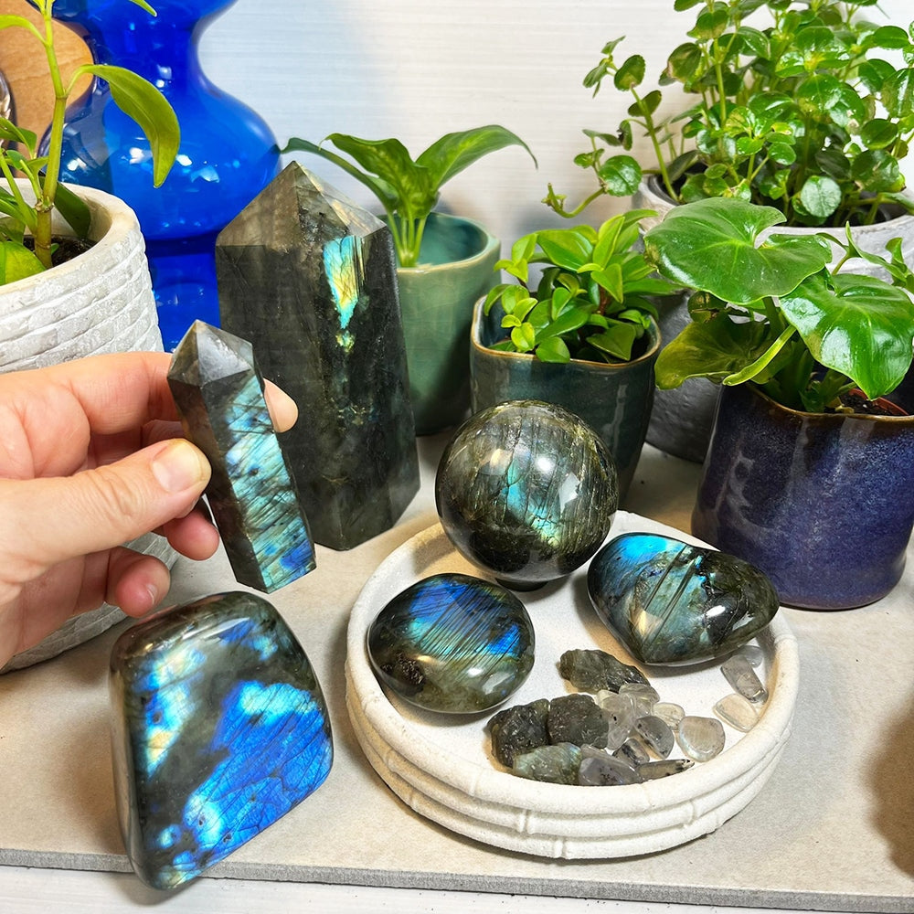 Labradorite Collectors Kit - collection