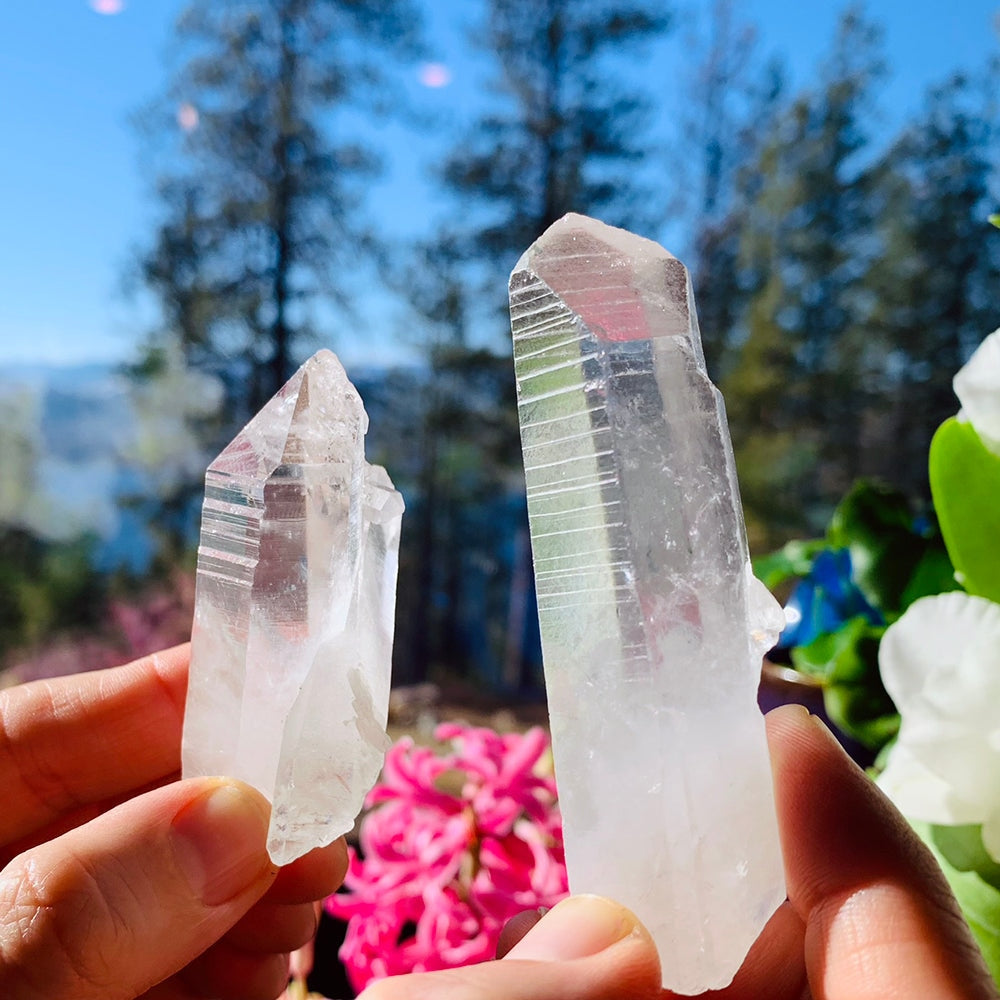 HEIDI Lemurian Quartz Shards - rawstone