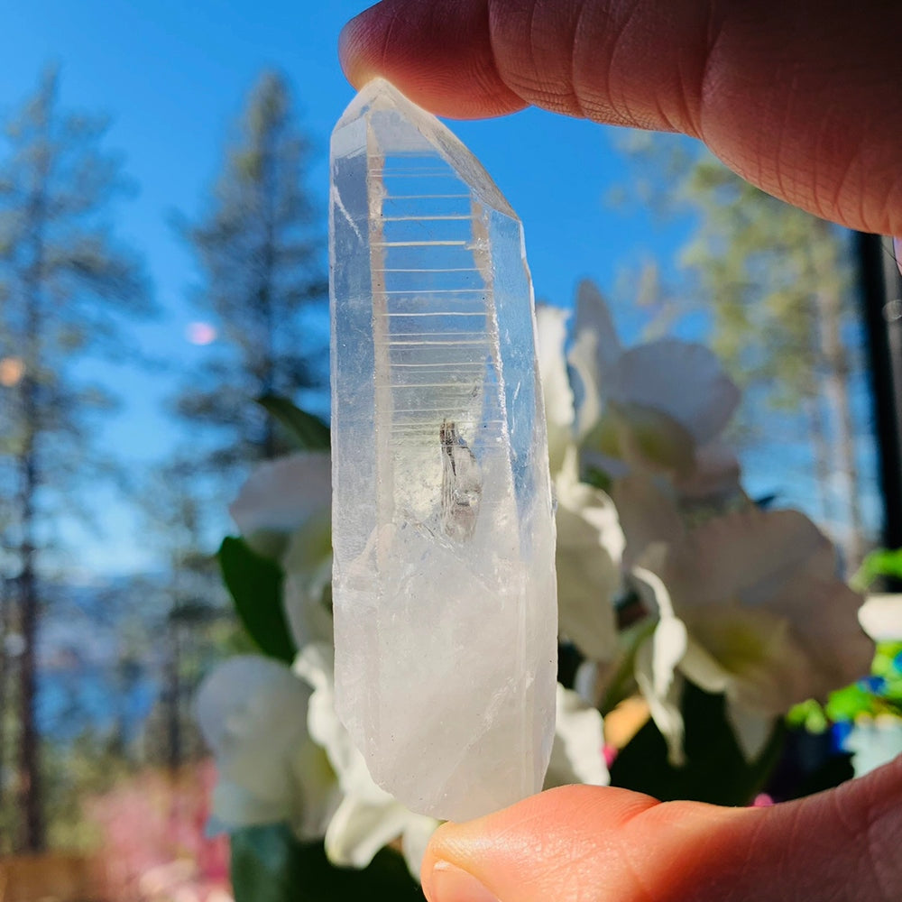 HEIDI Lemurian Quartz Shards - rawstone