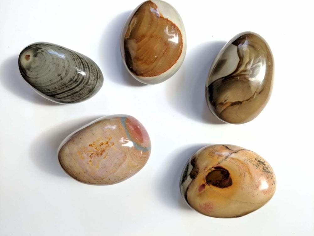 Polychromatic Jasper Palmstone - palmstone