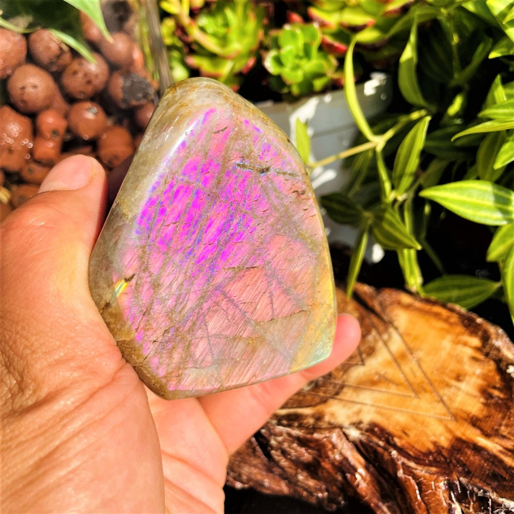 Large Purple Flash Labradorite Freeform (Item #0098)