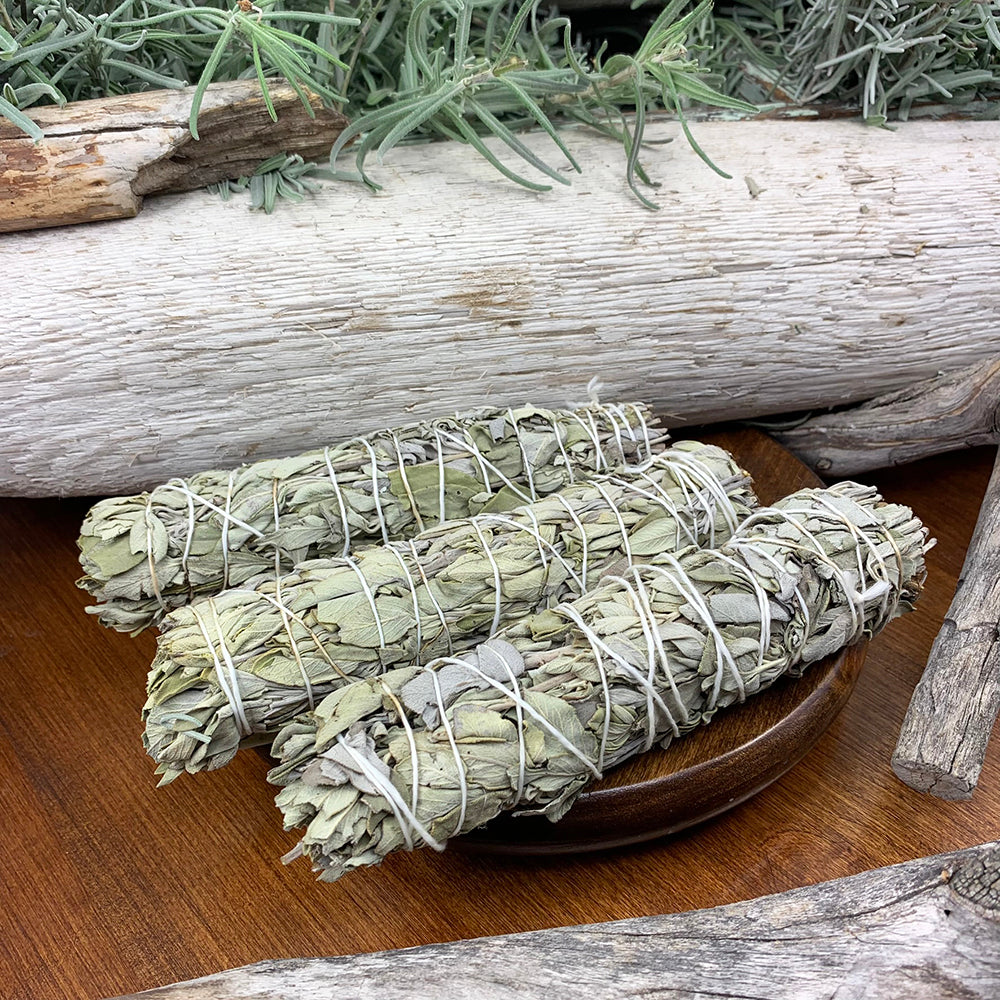 6" White Sage Bundle(s)