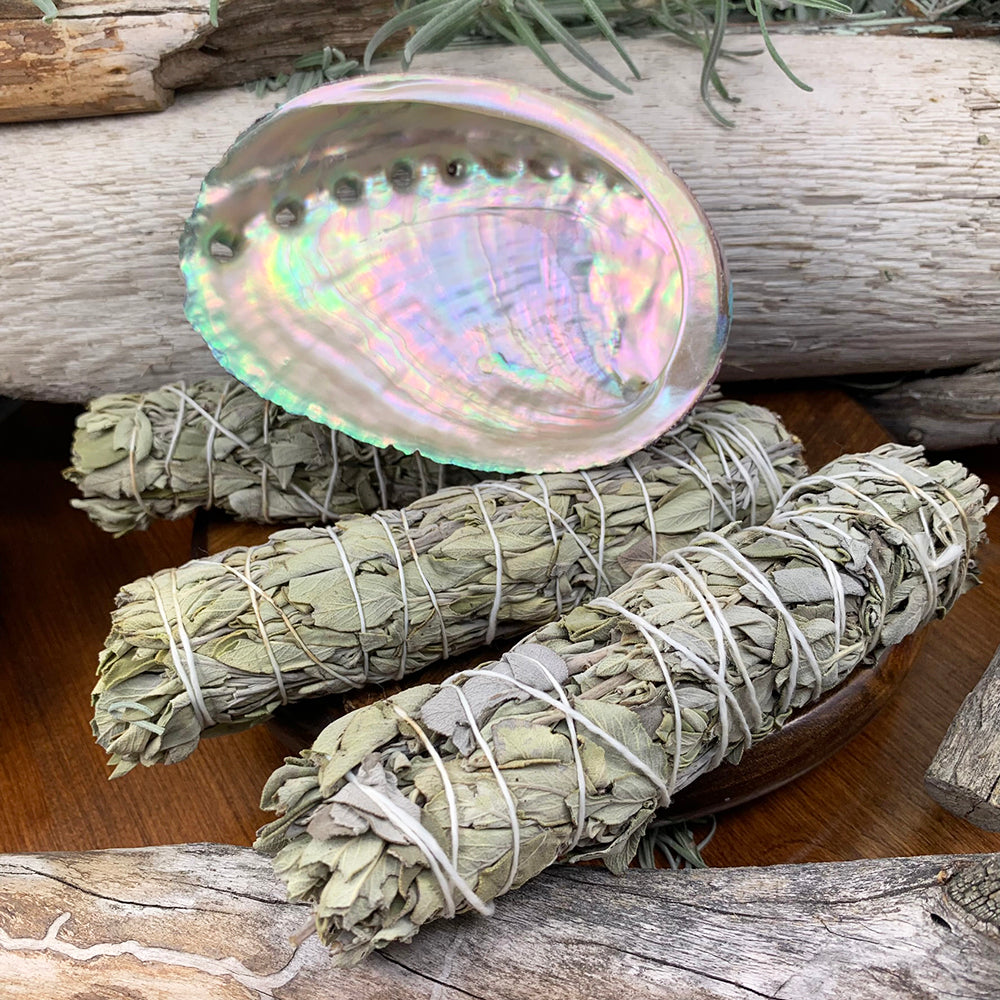 6" White Sage Bundle(s) + Abalone Shell Smudge Kit