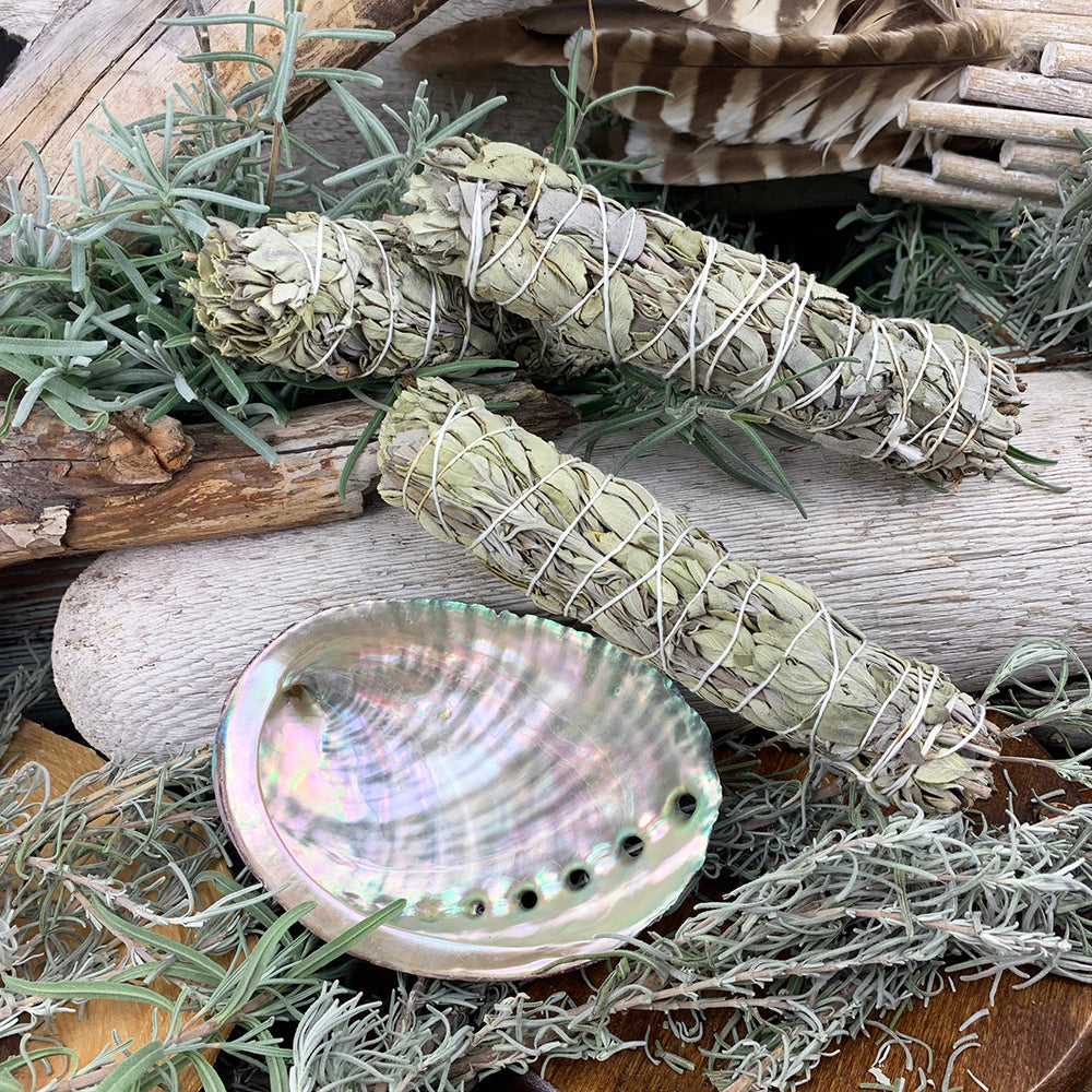 6" White Sage Bundle(s) + Abalone Shell Smudge Kit