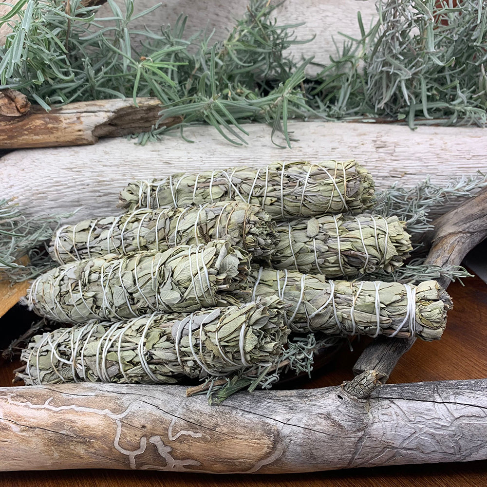 6" White Sage Bundle(s)