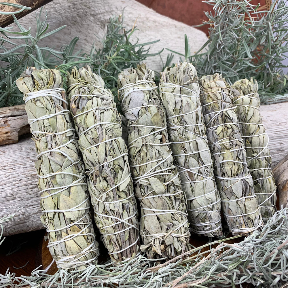 6" White Sage Bundle(s)