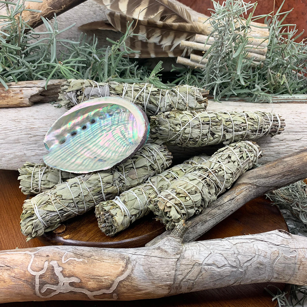 6" White Sage Bundle(s) + Abalone Shell Smudge Kit